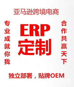 河南郑州无货源亚马逊erp系统OEM贴牌定制独立部署软件哪家好