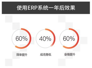 企业上erp管理系统的10个自问